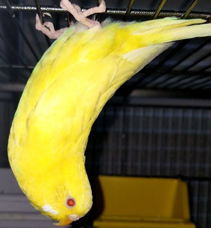 Lihat 7 Benda Ini Jadi Salah Sangka